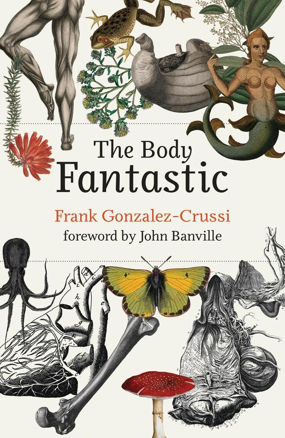 The Body Fantastic-Mathematics and Science-買書書 BuyBookBook