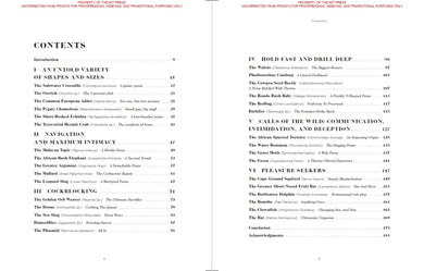 Sexus Animalis US - Hardback