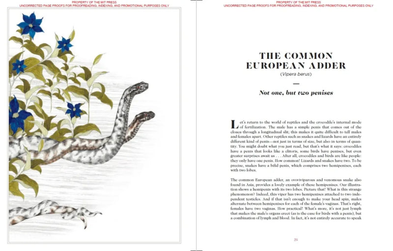 Sexus Animalis US - Hardback