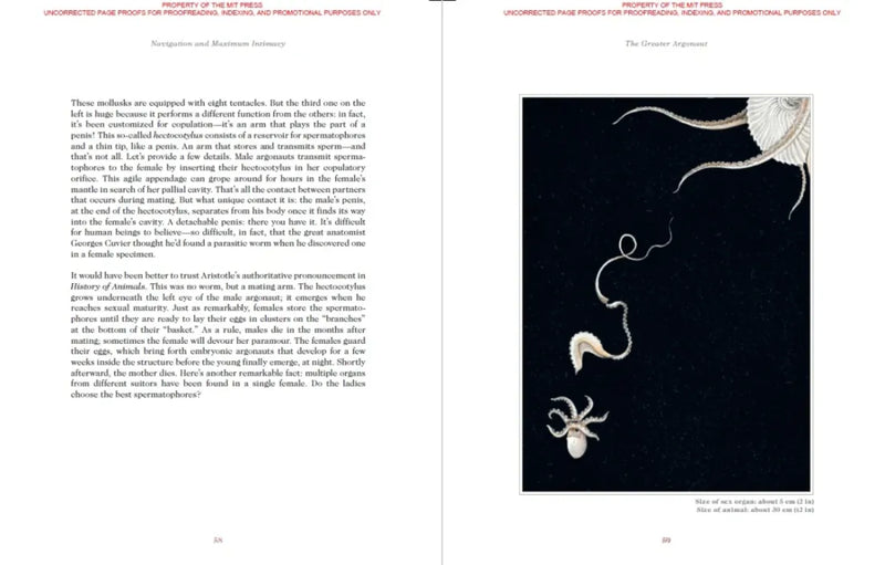 Sexus Animalis US - Hardback