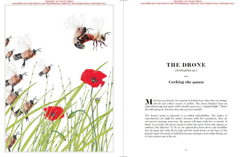 Sexus Animalis US - Hardback