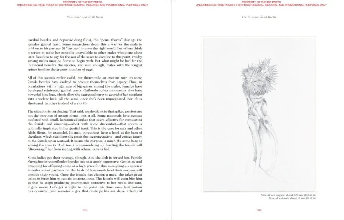 Sexus Animalis US - Hardback