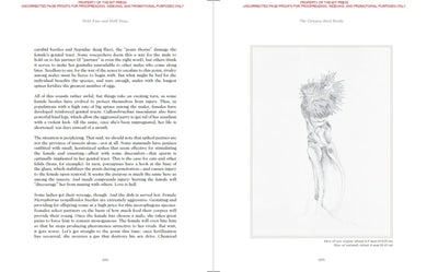 Sexus Animalis US - Hardback