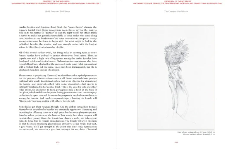 Sexus Animalis US - Hardback