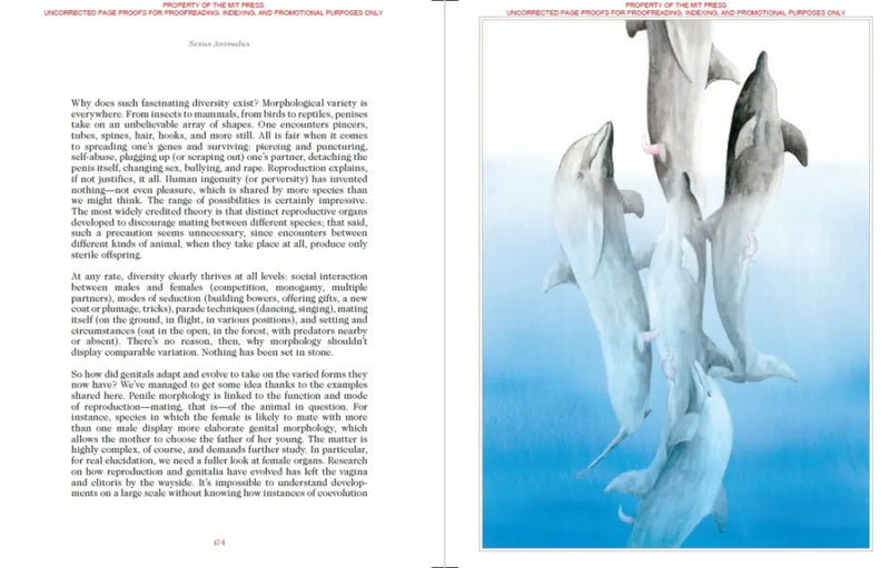 Sexus Animalis US - Hardback