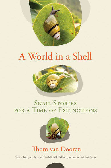 A World in a Shell-Earth Sciences/ Geography/ Environment/ Planning-買書書 BuyBookBook