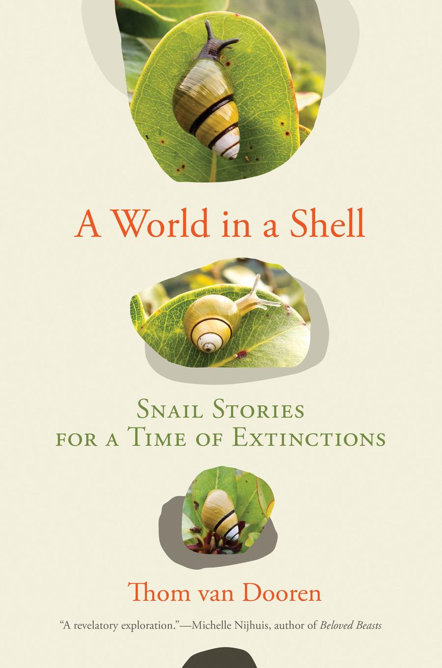 A World in a Shell-Earth Sciences/ Geography/ Environment/ Planning-買書書 BuyBookBook