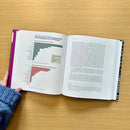 Counting Feminicide US - Hardback