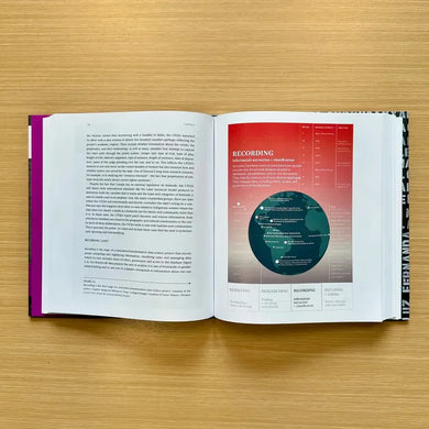 Counting Feminicide US - Hardback