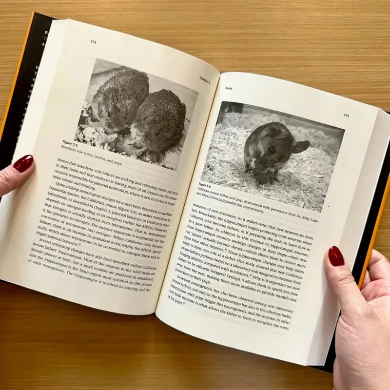 Father Nature US - Hardback