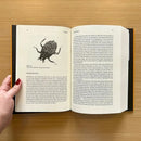 Father Nature US - Hardback