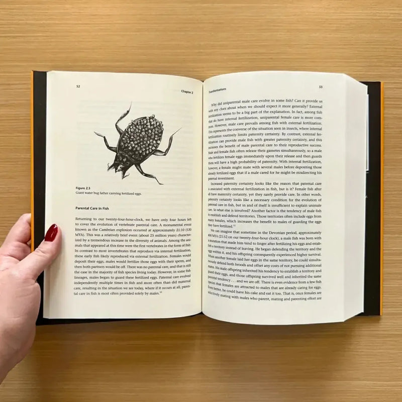 Father Nature US - Hardback