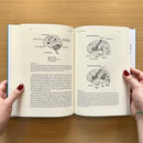 Your Stone Age Brain in the Screen Age US - Hardback