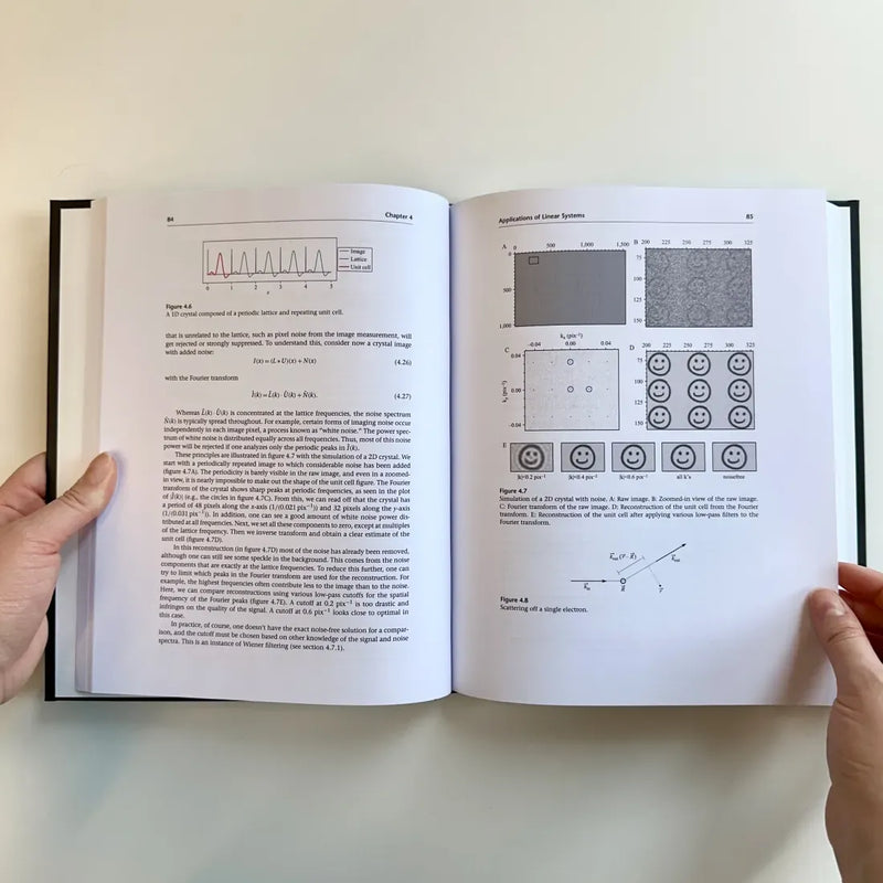 Mathematics in Biology US - Hardback