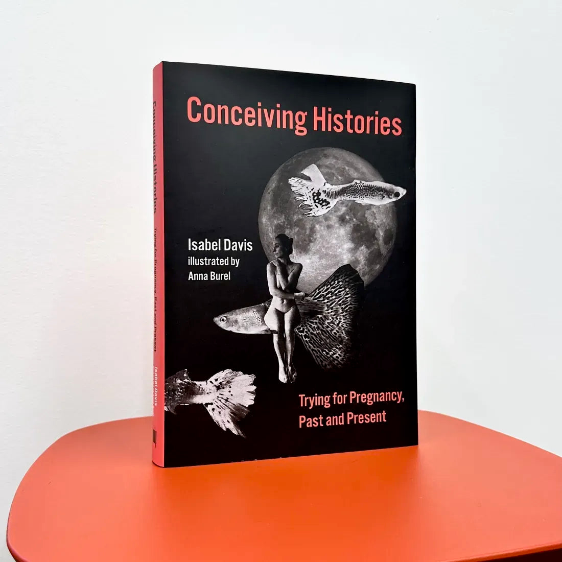 Conceiving Histories US - Hardback