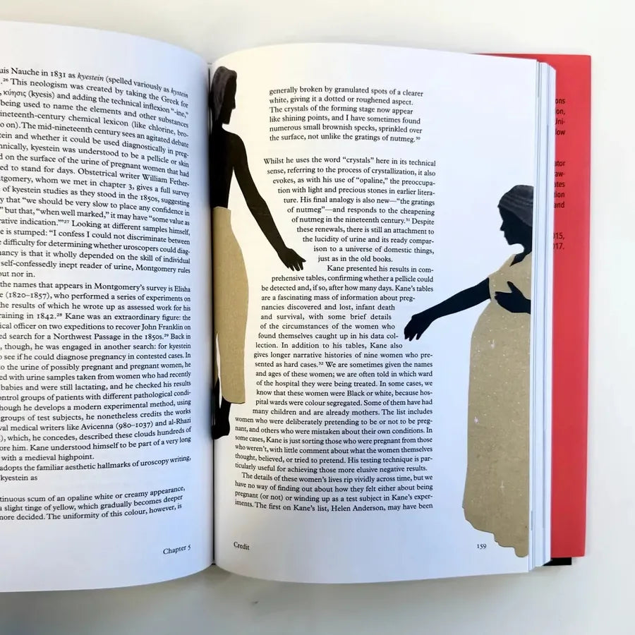 Conceiving Histories US - Hardback