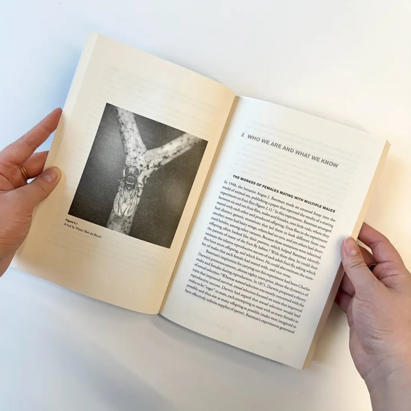 Feminism in the Wild US - Paperback / softback