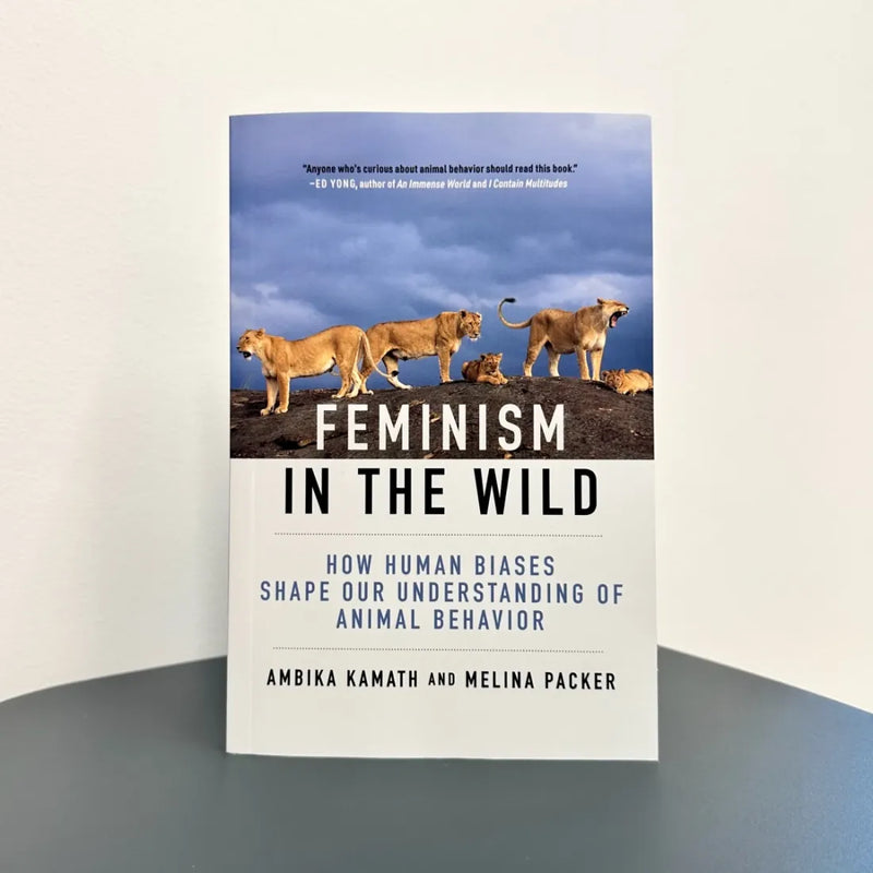 Feminism in the Wild US - Paperback / softback