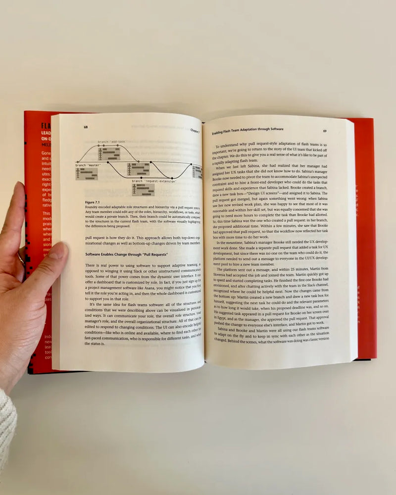 Flash Teams US - Hardback