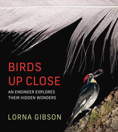 Birds Up Close cover