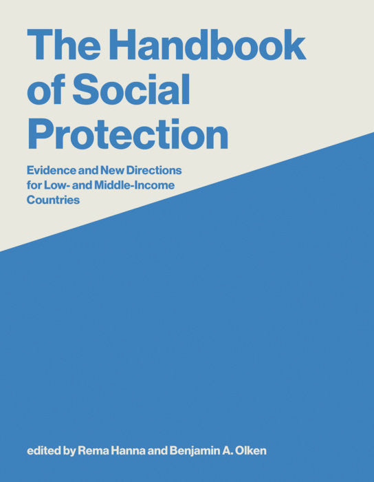 The Handbook of Social Protection cover
