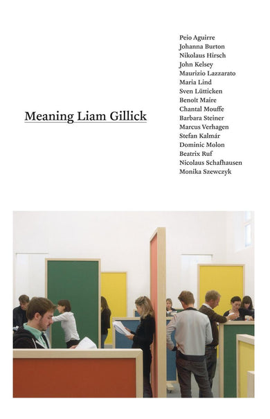 Meaning Liam Gillick-Art: general-買書書 BuyBookBook