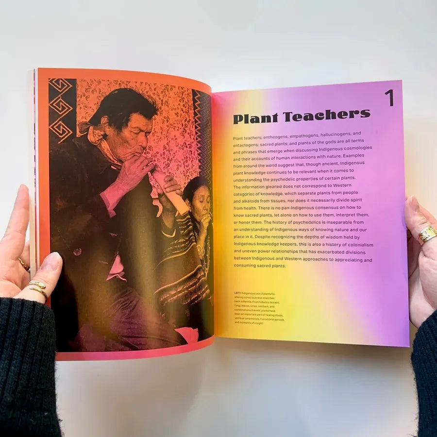 Psychedelics US - Paperback / softback
