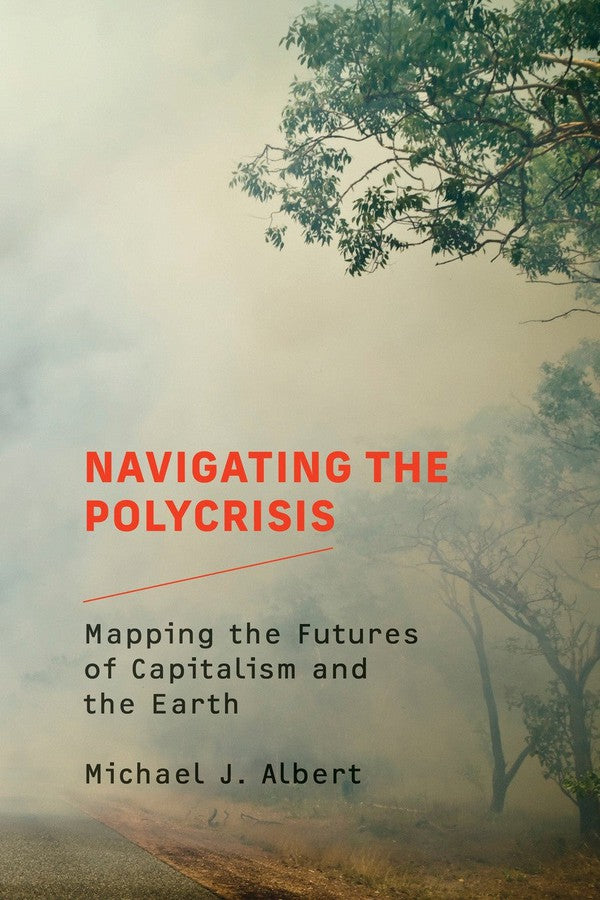 Navigating the Polycrisis-Earth Sciences/ Geography/ Environment/ Planning-買書書 BuyBookBook