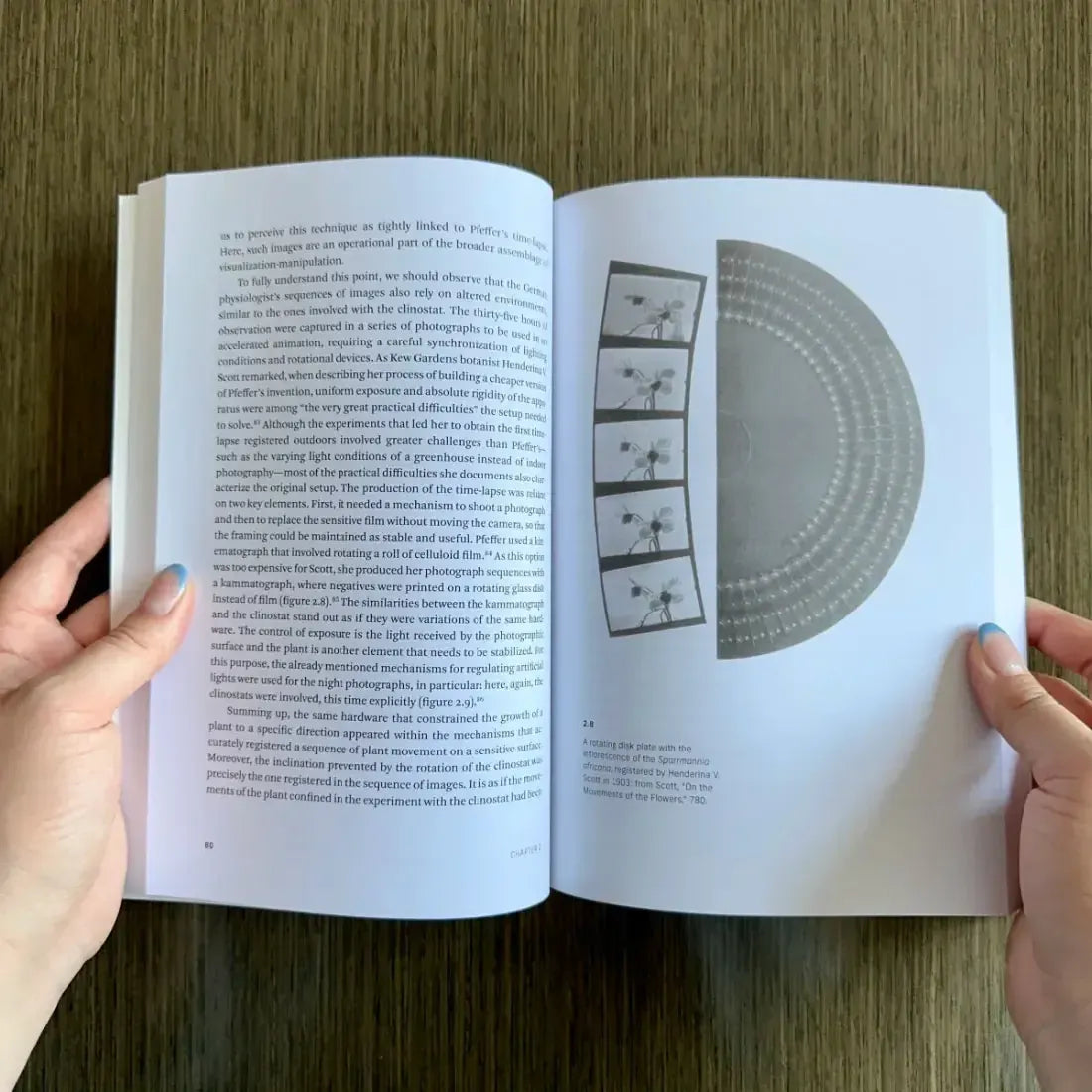 Living Surfaces US - Paperback / softback