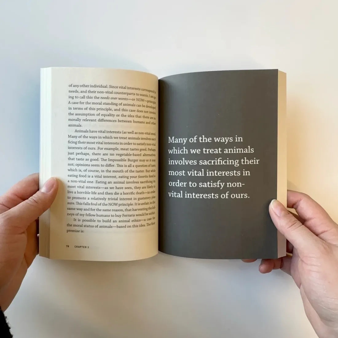 Animal Rights US - Paperback / softback