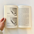 A Just Transition for All US - Paperback / softback