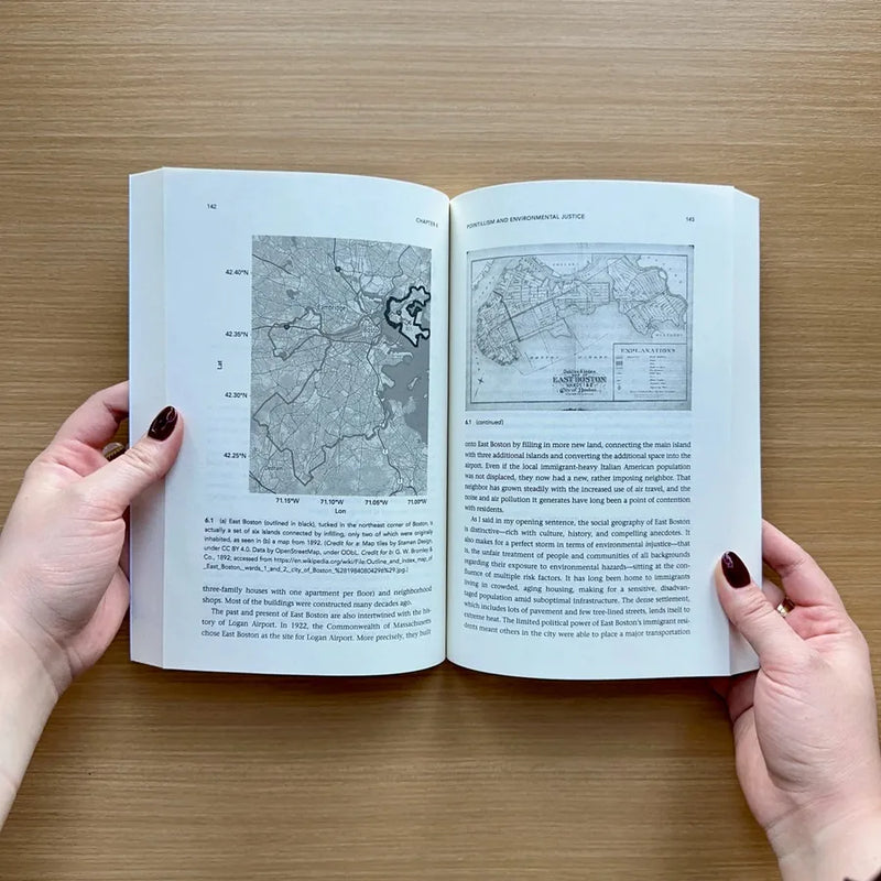 The Pointillistic City US - Paperback / softback