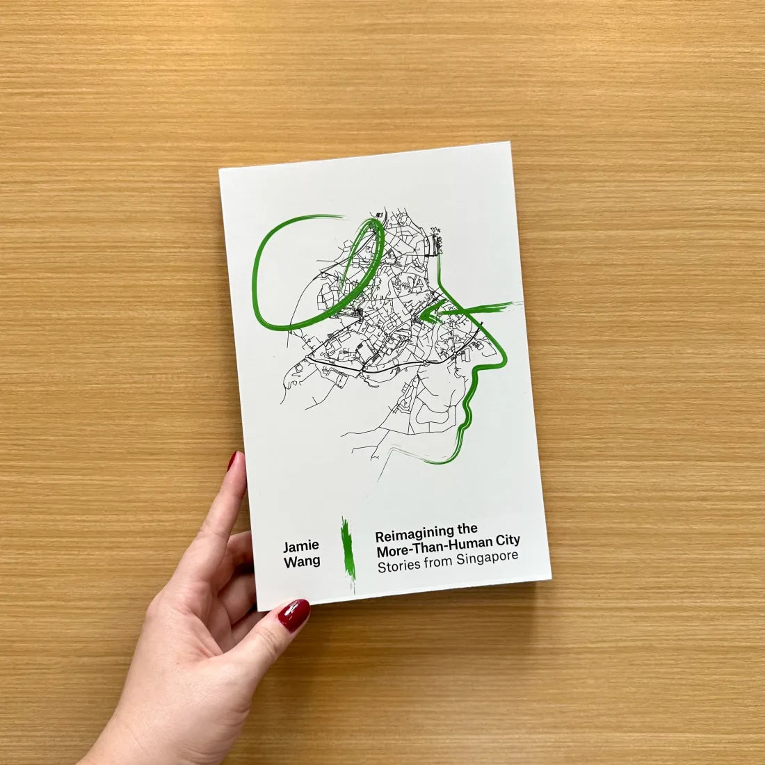 Reimagining the More-Than-Human City US - Paperback / softback