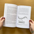 From Sensing to Sentience US - Paperback / softback