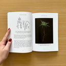 The Metamorphosis of Plants US - Paperback / softback