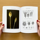 The Metamorphosis of Plants US - Paperback / softback