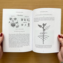 The Metamorphosis of Plants US - Paperback / softback