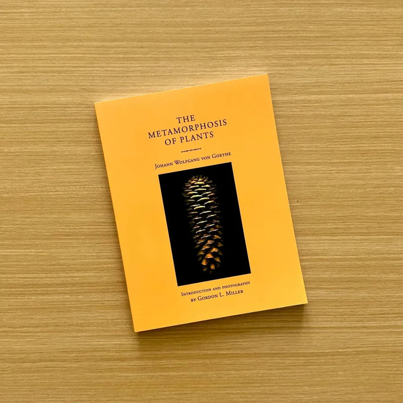 The Metamorphosis of Plants US - Paperback / softback