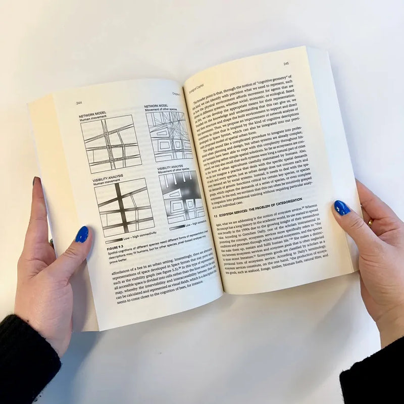 Measures and Meanings of Spatial Capital US - Paperback / softback