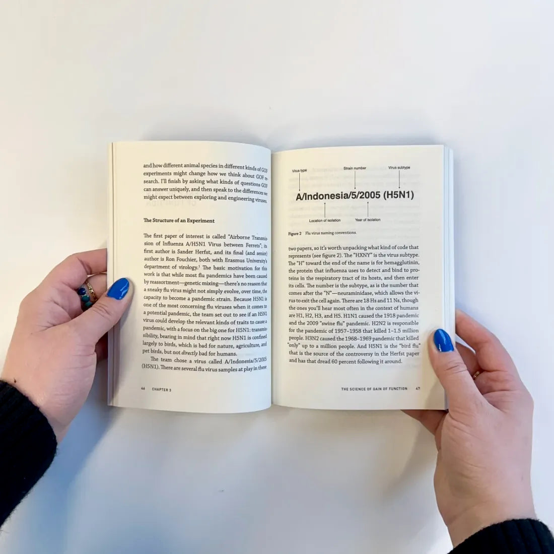 Gain of Function US - Paperback / softback