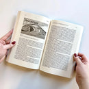 Indigenous Currencies US - Paperback / softback