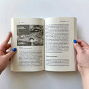 The Beauty of Games US - Paperback / softback