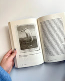 Synthetic Frontiers US - Paperback / softback