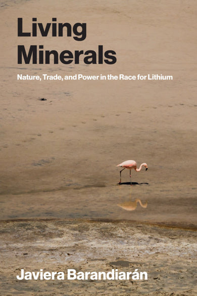 Living Minerals cover