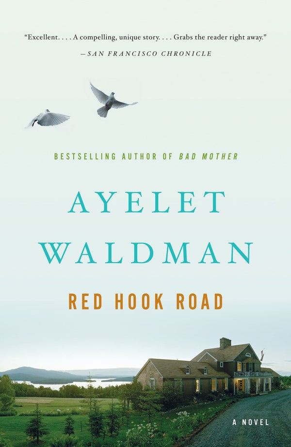 Red Hook Road-Fiction: general and literary-買書書 BuyBookBook