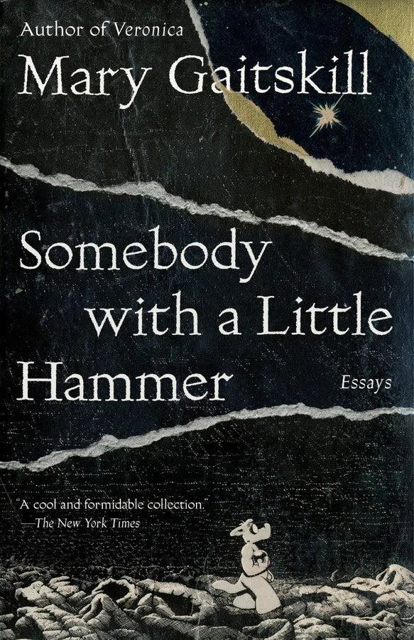 Somebody with a Little Hammer-True stories and non-fiction prose-買書書 BuyBookBook