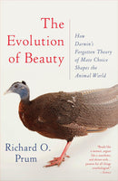 The Evolution of Beauty-Mathematics and Science-買書書 BuyBookBook