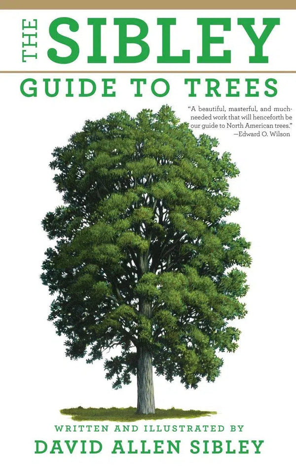 The Sibley Guide to Trees-Nature and the natural world: general interest-買書書 BuyBookBook