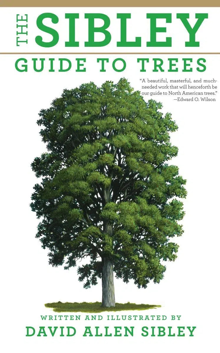 The Sibley Guide to Trees-Nature and the natural world: general interest-買書書 BuyBookBook