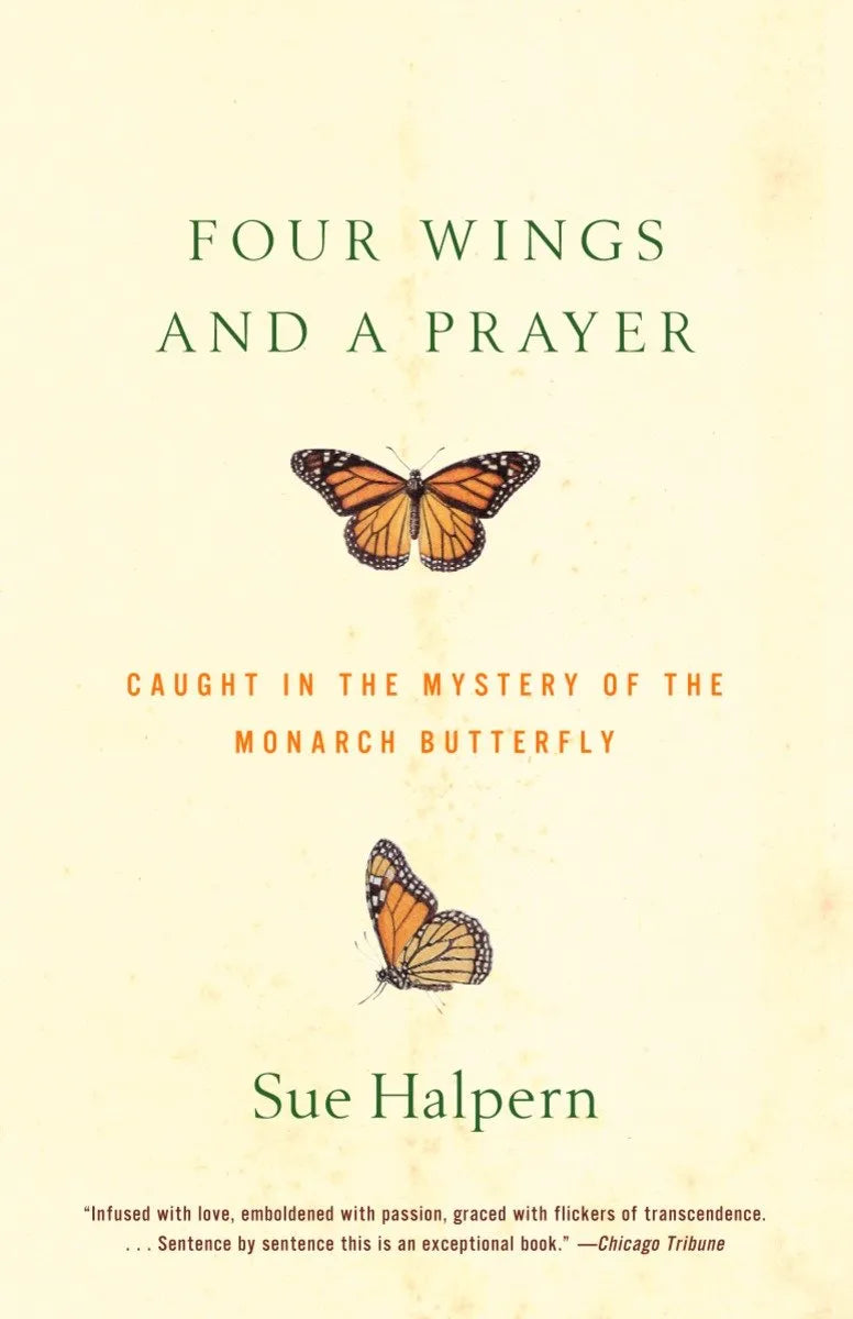 Four Wings and a Prayer-Nature and the natural world: general interest-買書書 BuyBookBook